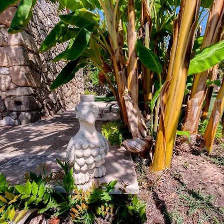 Farm stay Masseria Copertini