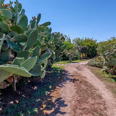 Masseria Copertini Farm stay