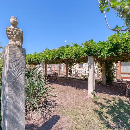 Masseria Copertini Farm stay
