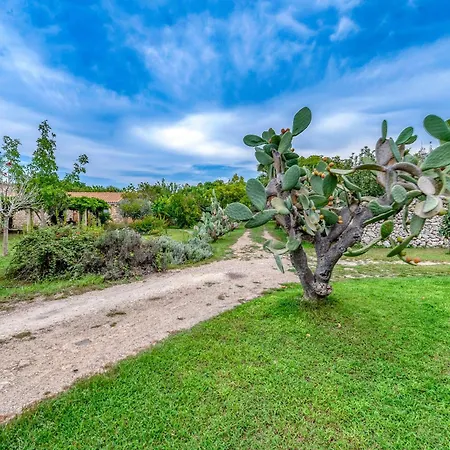 Masseria Copertini 农家乐 韦尔诺莱