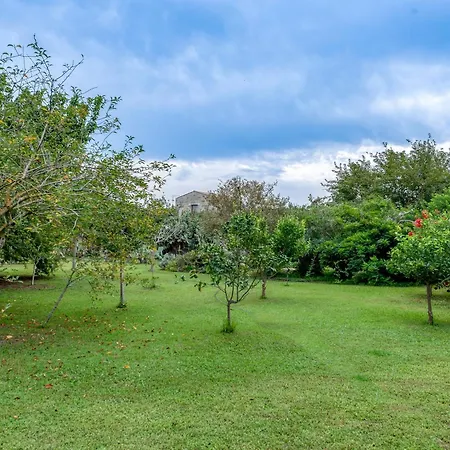 农家乐 Masseria Copertini 韦尔诺莱