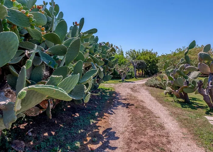Masseria Copertini Farm stay
